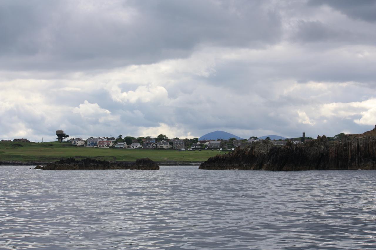 Ringfad B&B Ardglass Exteriör bild