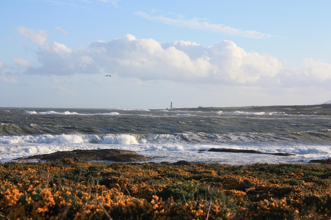 Ringfad B&B Ardglass Exteriör bild